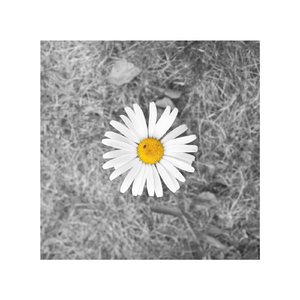 白袜体育生Gary18禁网站
