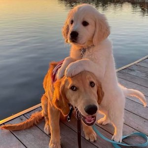 白袜体育生Gary18禁网站
